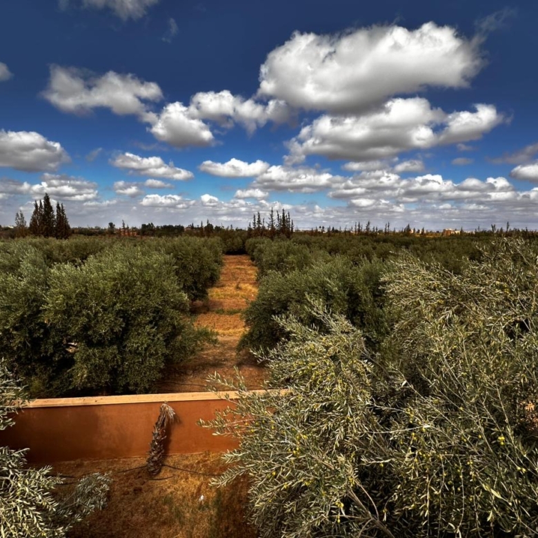 Ferme de prestige – Route de l’Ourika, Marrakech