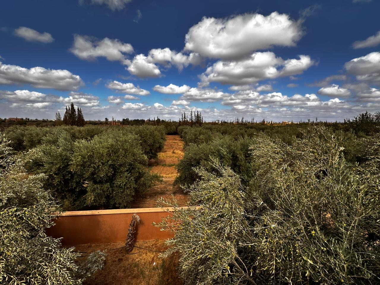 Ferme de prestige – Route de l’Ourika, Marrakech