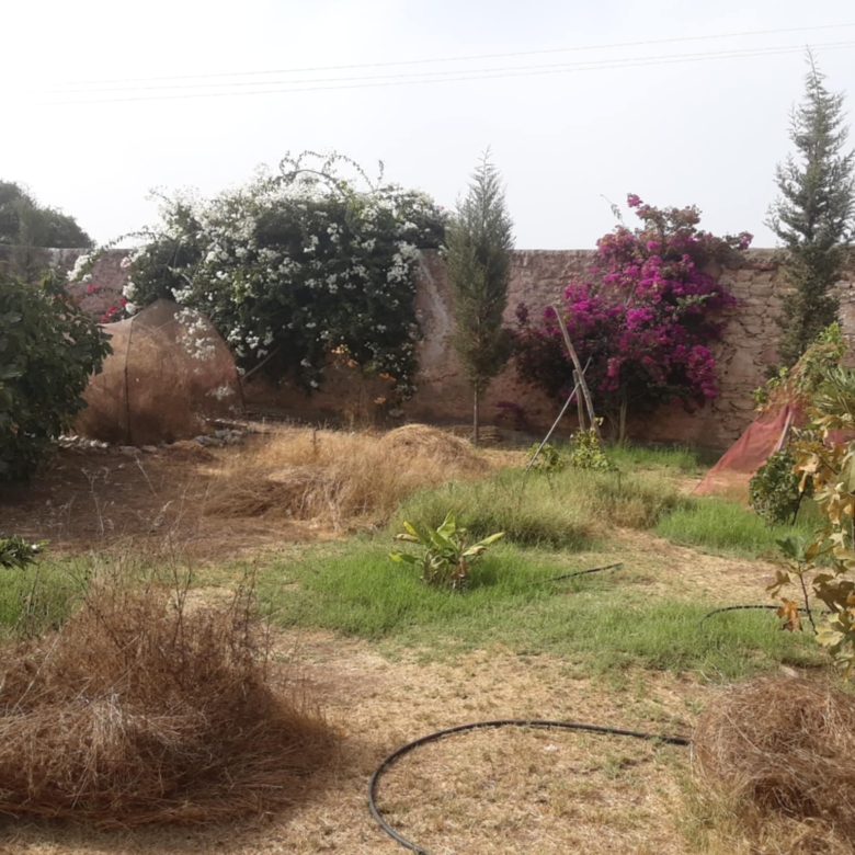 Villa titrée 150m2 sur parcelle 3900m2 – Essaouira