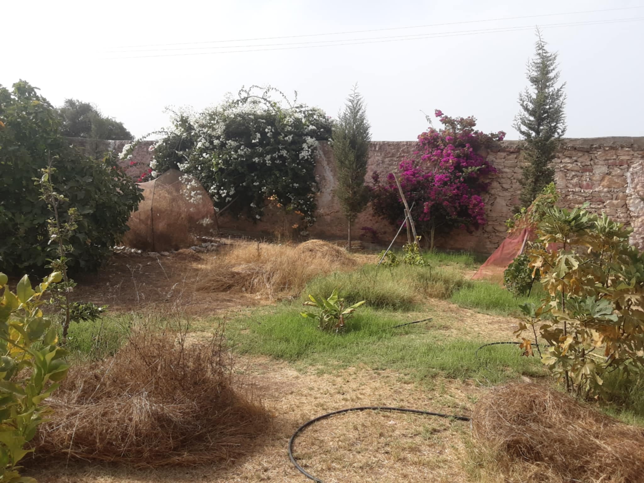 Villa titrée 150m2 sur parcelle 3900m2 – Essaouira
