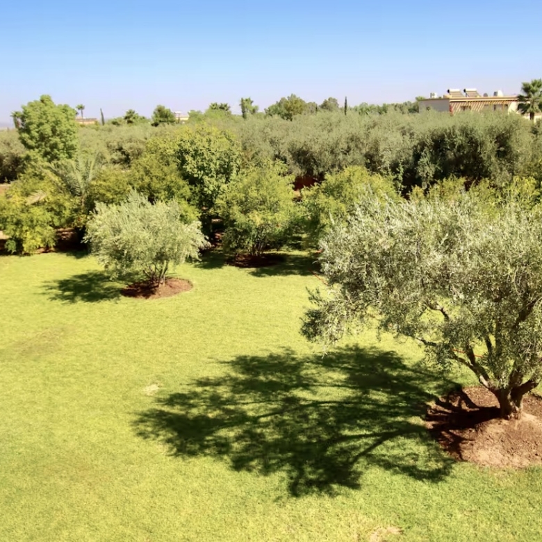 Très beau domaine de 12000 m2, villa 4 suites