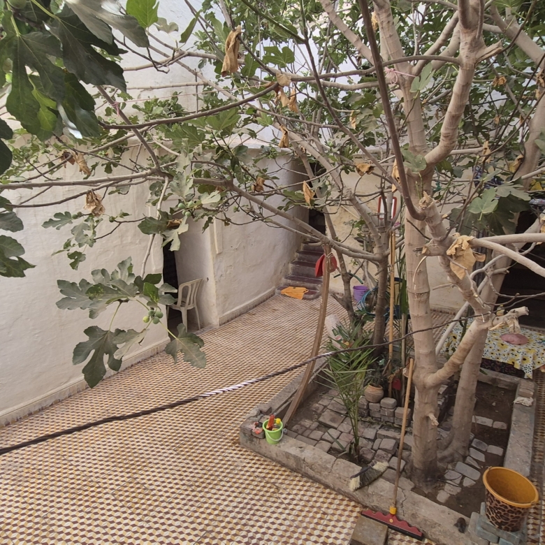 Riad 162m2 à reconstruire Melkia