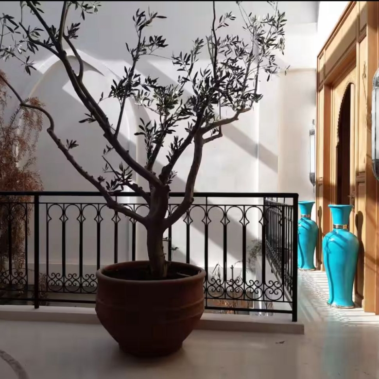 Magnifique Riad exploité  116m² Titré – Sidi Mimoun
