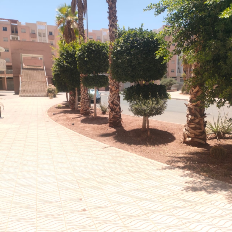 Magasin 29 m² Titré Marrakech