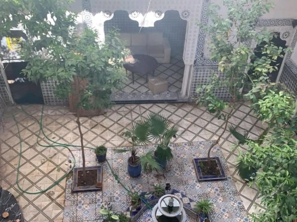 Riad Titré 278 M2  à Mellah à côté de Palais La Bahia