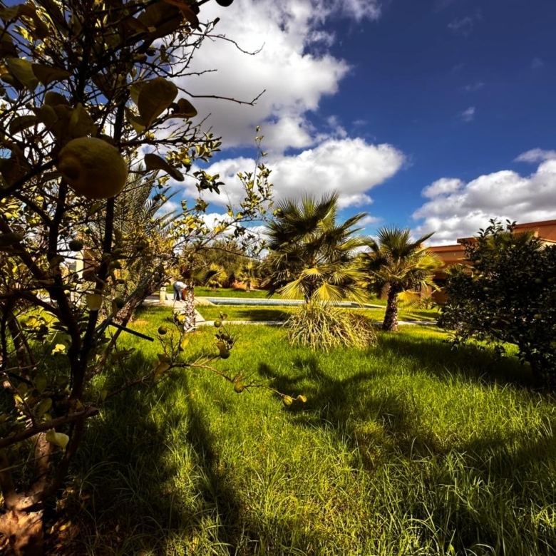 Ferme de prestige – Route de l’Ourika, Marrakech