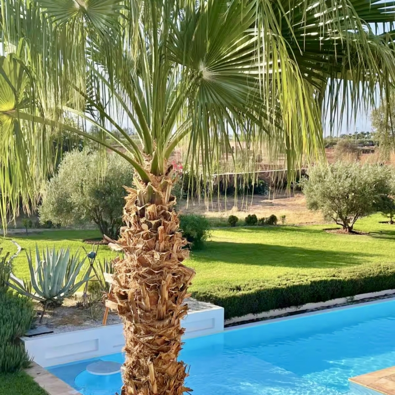 Très beau domaine de 12000 m2, villa 4 suites