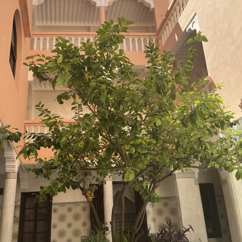 Riad 321m² 5 chambre melkia – Quartier Berrima