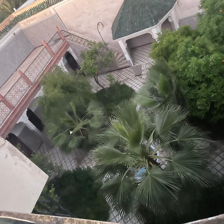 Riad d’Exception Au Cœur De La Médina
