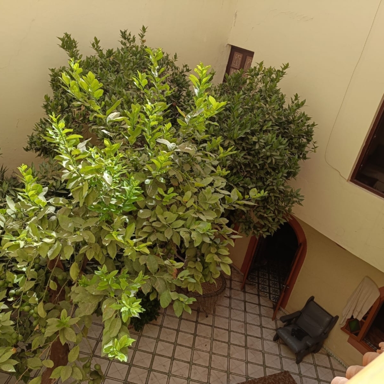 Riad 269m² Titré 13 suites – Quartier Kennaria