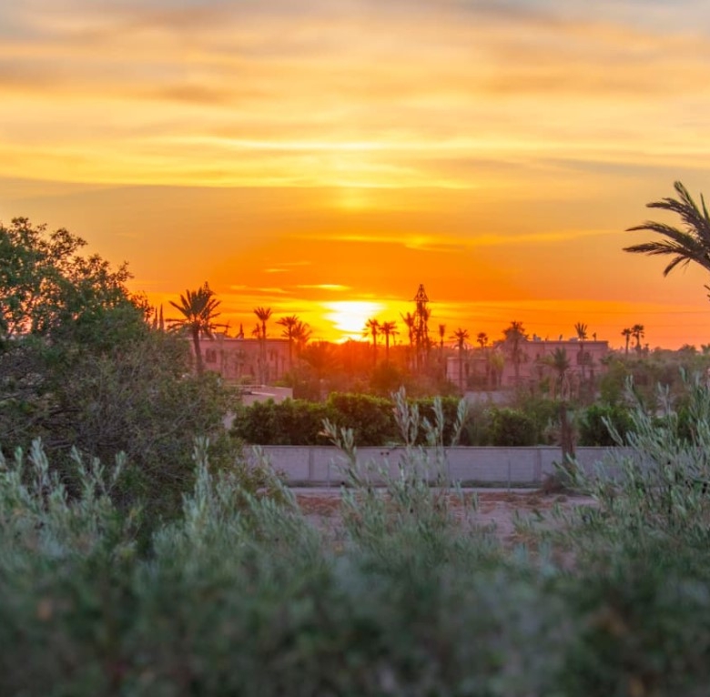 Magnifique Villa Contemporaine à vendre à la Palmeraie (Bab Atlas)– Marrakech Villa
