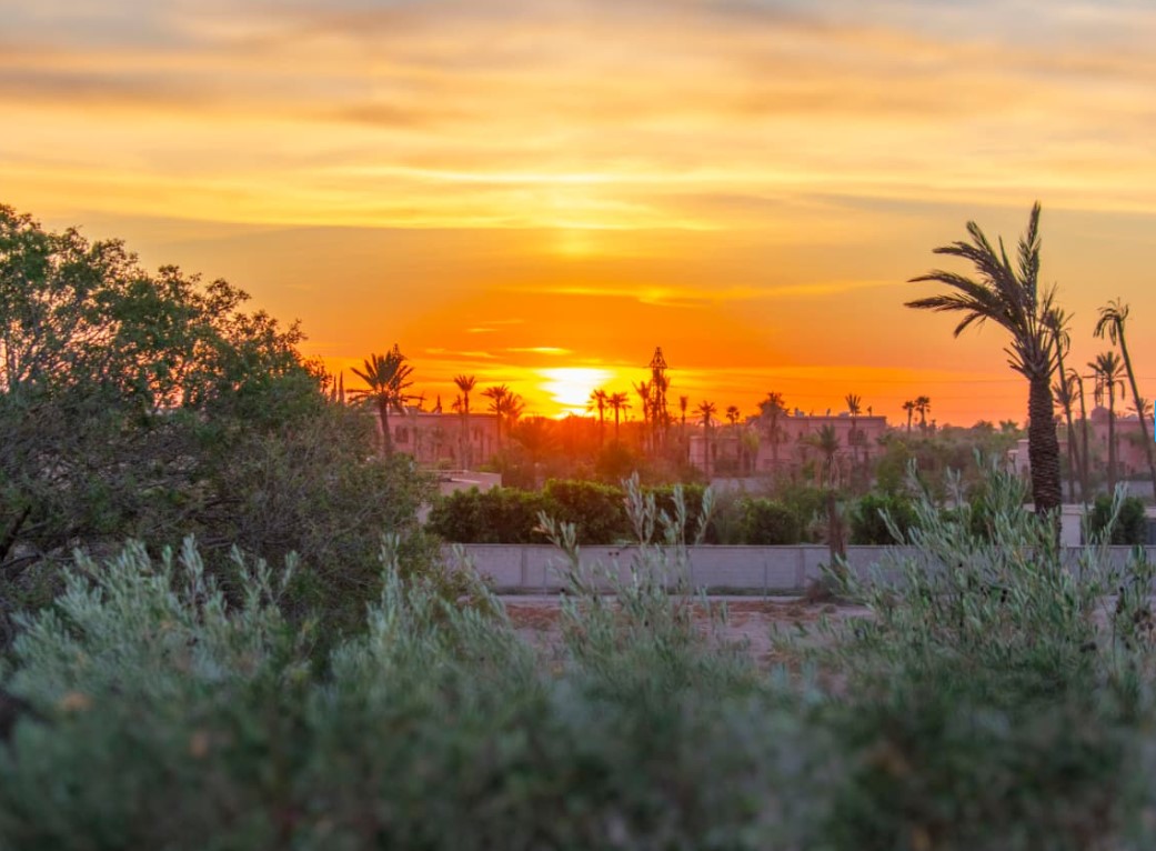 Magnifique Villa Contemporaine à vendre à la Palmeraie (Bab Atlas)– Marrakech Villa