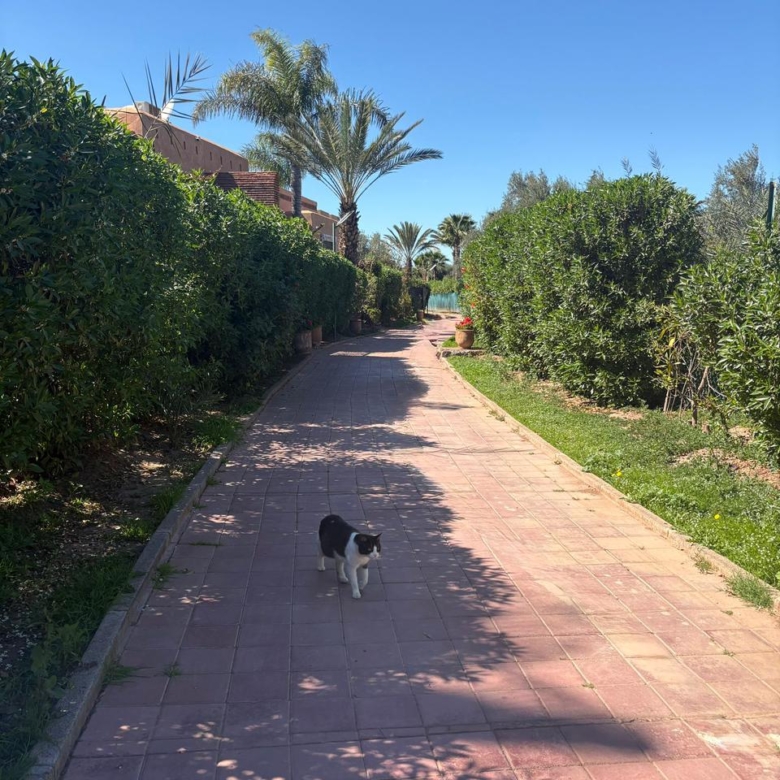 Superbe Villa avec Vue Atlas – Route de Fès (20 km)