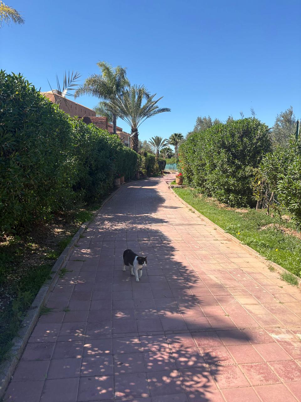 Superbe Villa avec Vue Atlas – Route de Fès (20 km)