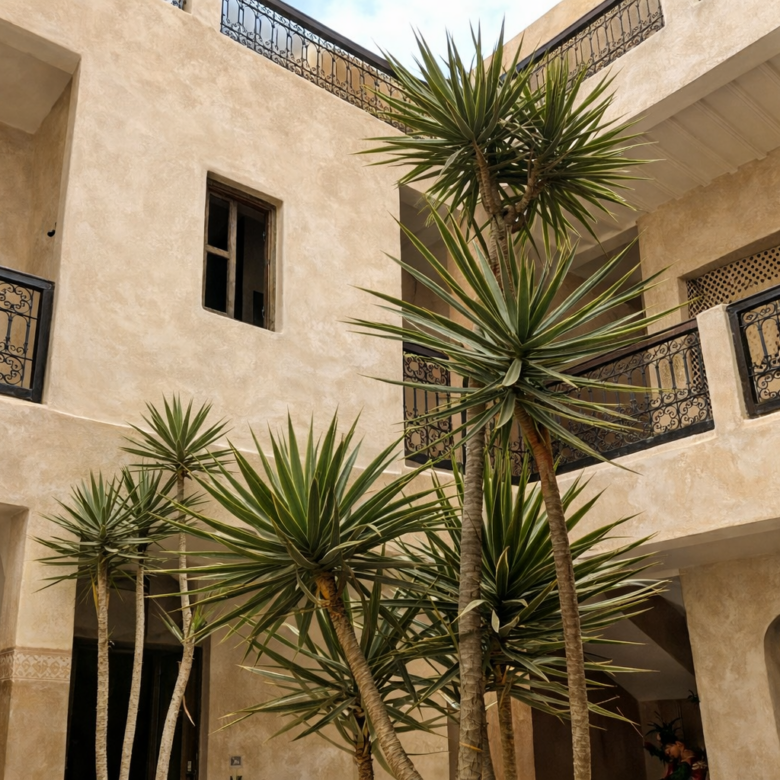 Riad titré de 160 m² au sol – Piscine chauffée – Quartier Laâgza, proche Riad Laarouss