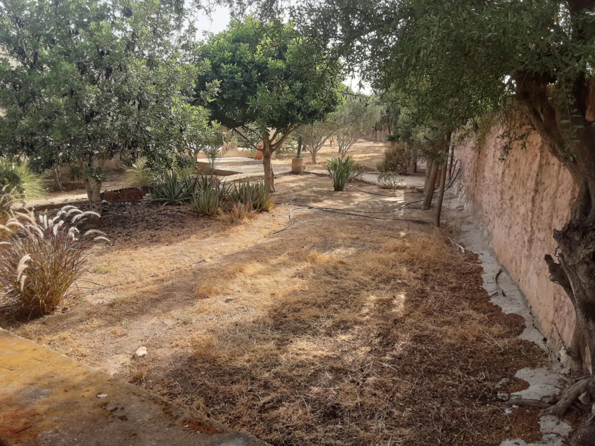 Villa titrée 150m2 sur parcelle 3900m2 – Essaouira