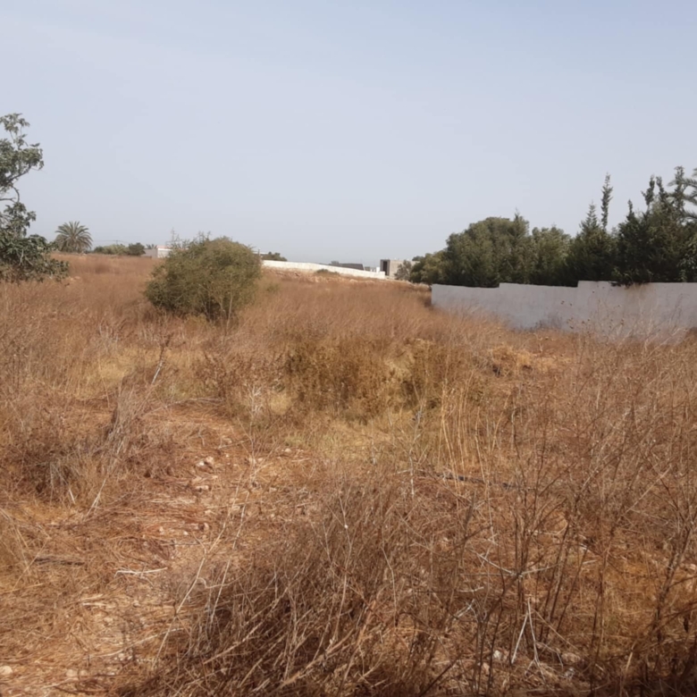 Villa titrée 150m2 sur parcelle 3900m2 – Essaouira