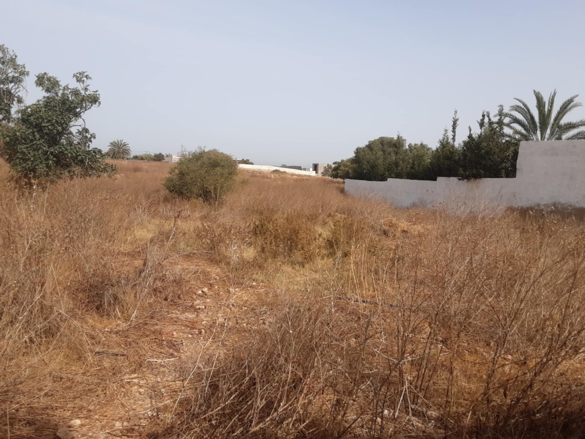 Villa titrée 150m2 sur parcelle 3900m2 – Essaouira