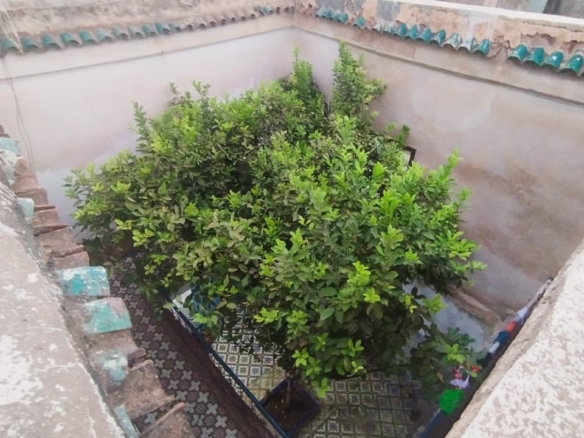 Riad 127m² à démolir Melkia – Quartier Rahba Kedima