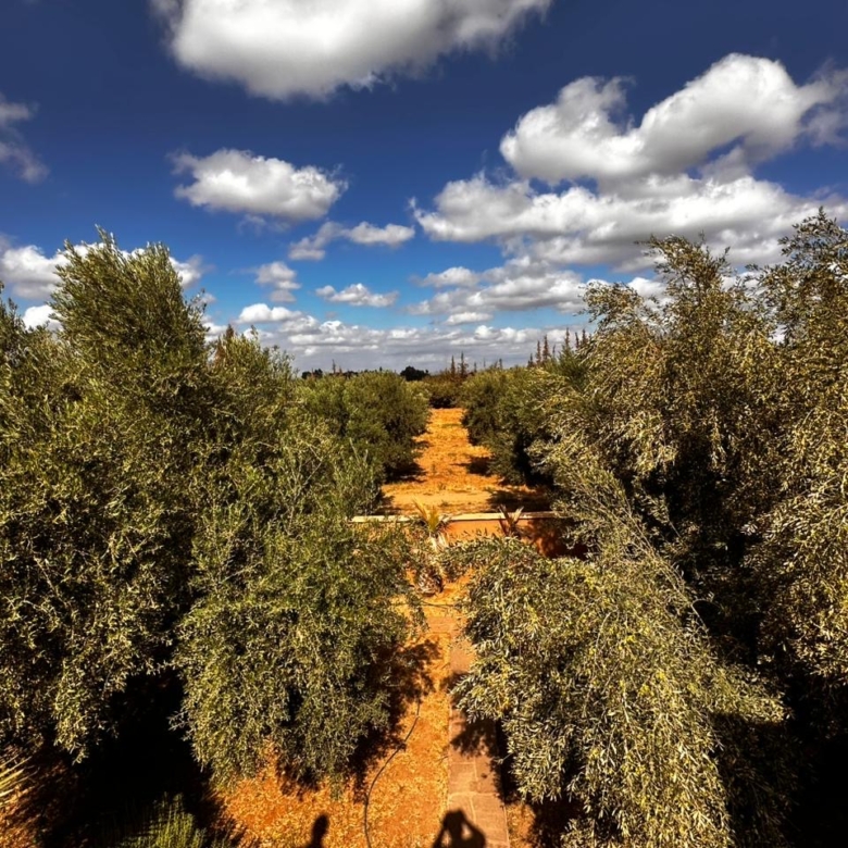 Ferme de prestige – Route de l’Ourika, Marrakech