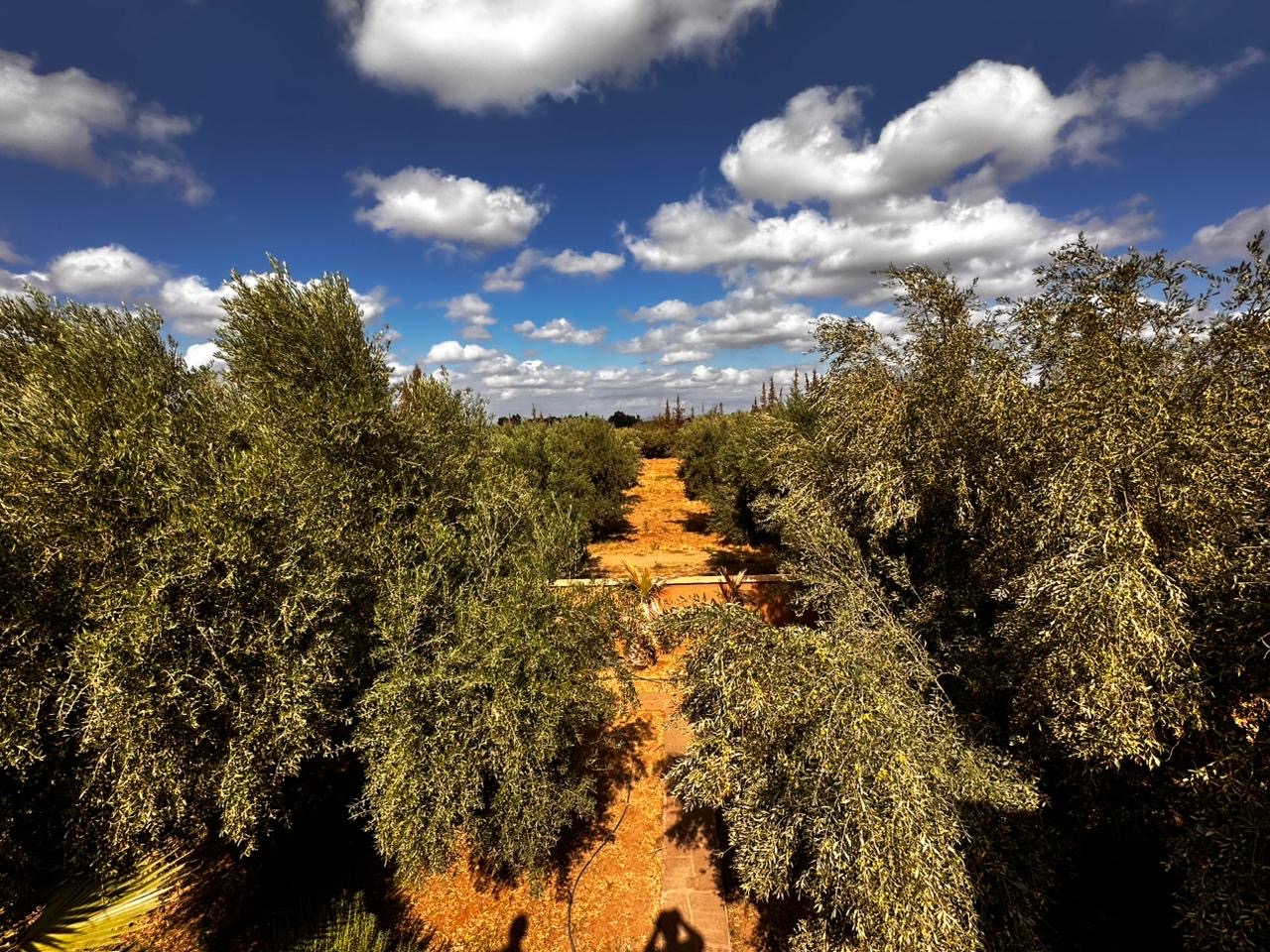 Ferme de prestige – Route de l’Ourika, Marrakech