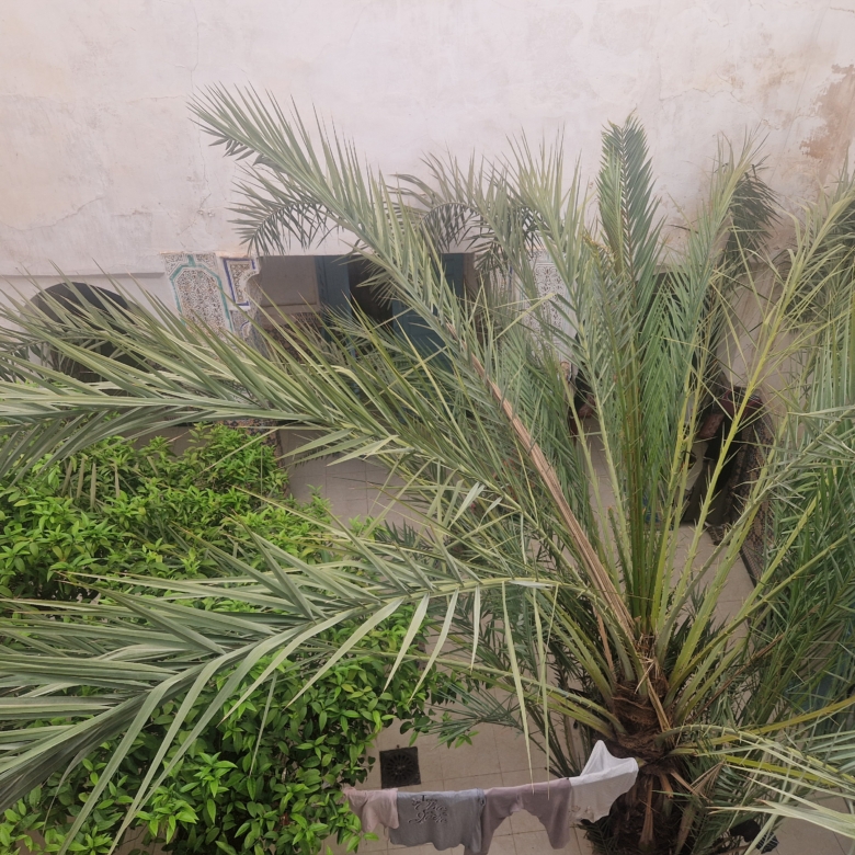 Riad 200m2 à rénover Melkia – Quartier Mouassine