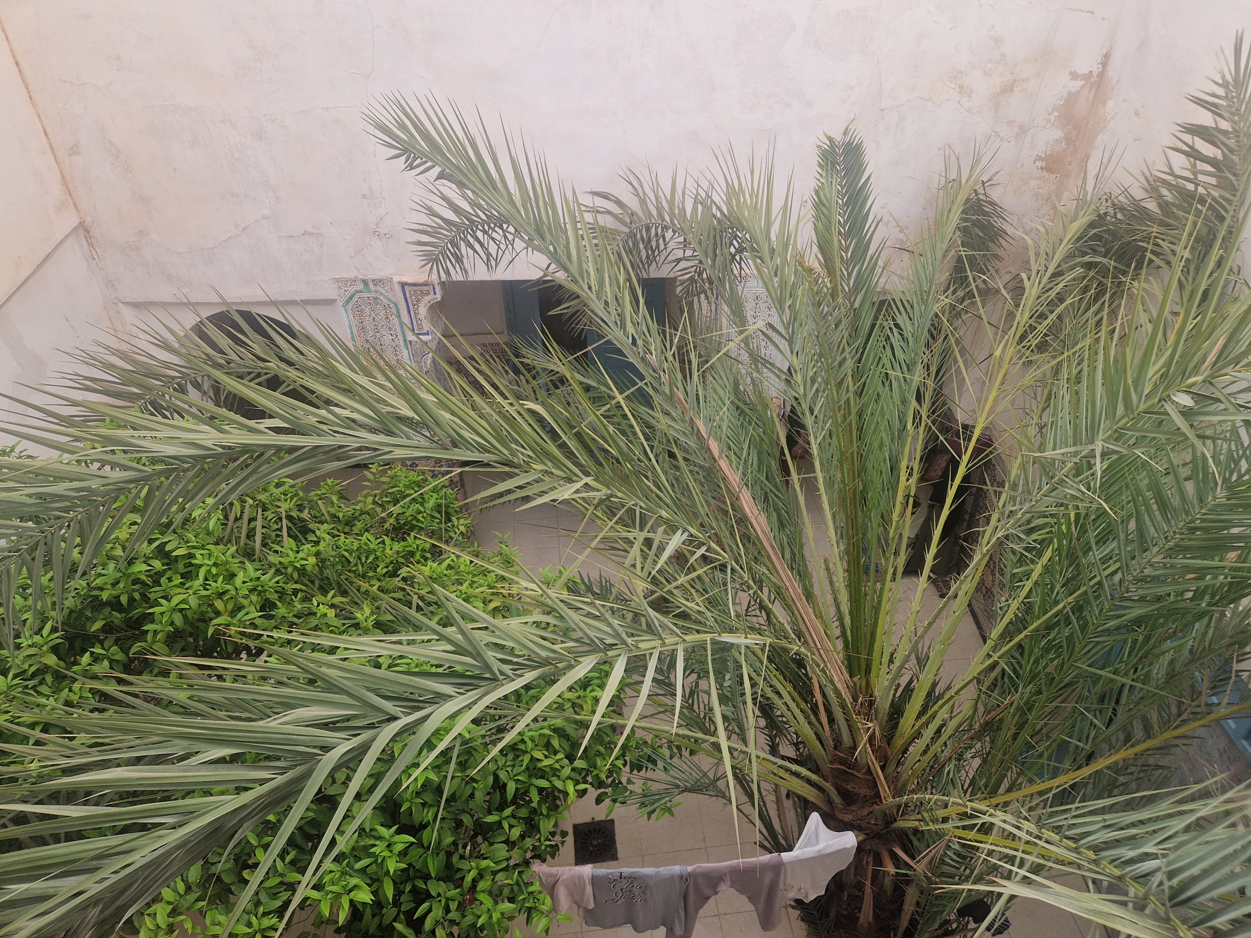 Riad 200m2 à rénover Melkia – Quartier Mouassine