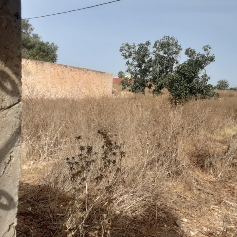 Villa titrée 150m2 sur parcelle 3900m2 – Essaouira
