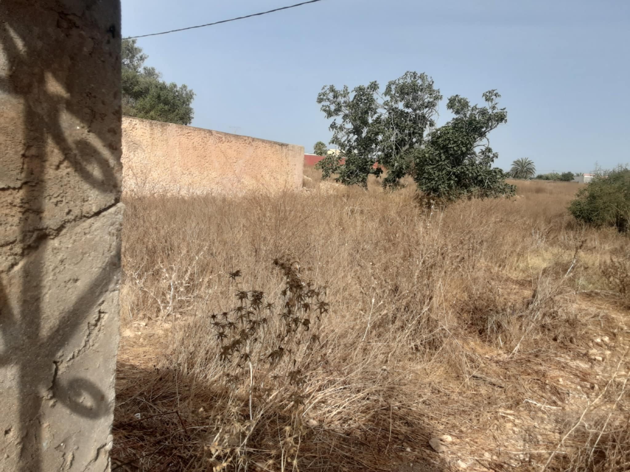 Villa titrée 150m2 sur parcelle 3900m2 – Essaouira